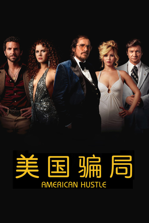 美国骗局（2013）蓝光特效字幕版