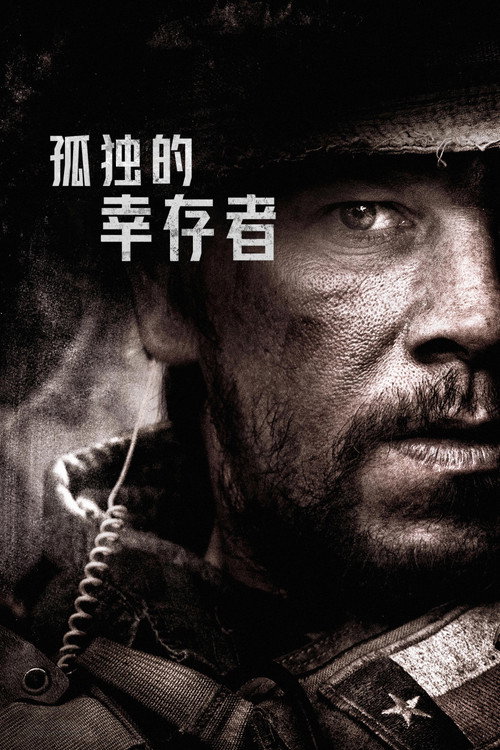 孤独的幸存者（2013）蓝光特效字幕版